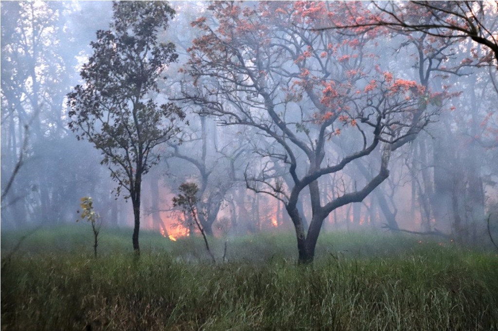 डढेलो लाग्न नदिन उच्च सतर्कता