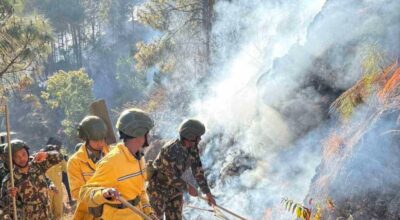पाल्पामा डढेलोले सखाप हुँदै जङ्गल