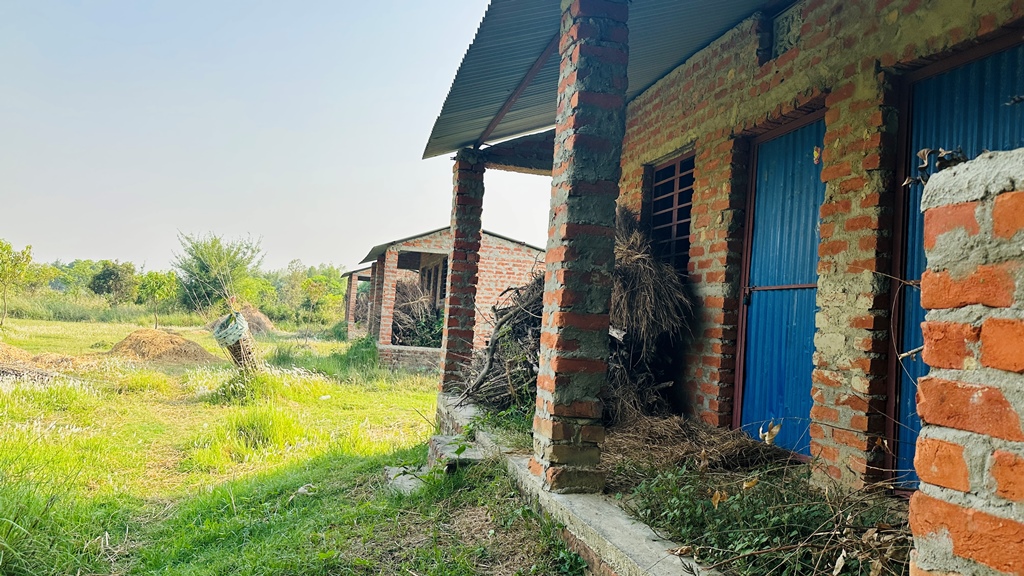 बरियारपट्टीमा ‘जनता आवास’ अनुदानको घर प्रयोगविहीन