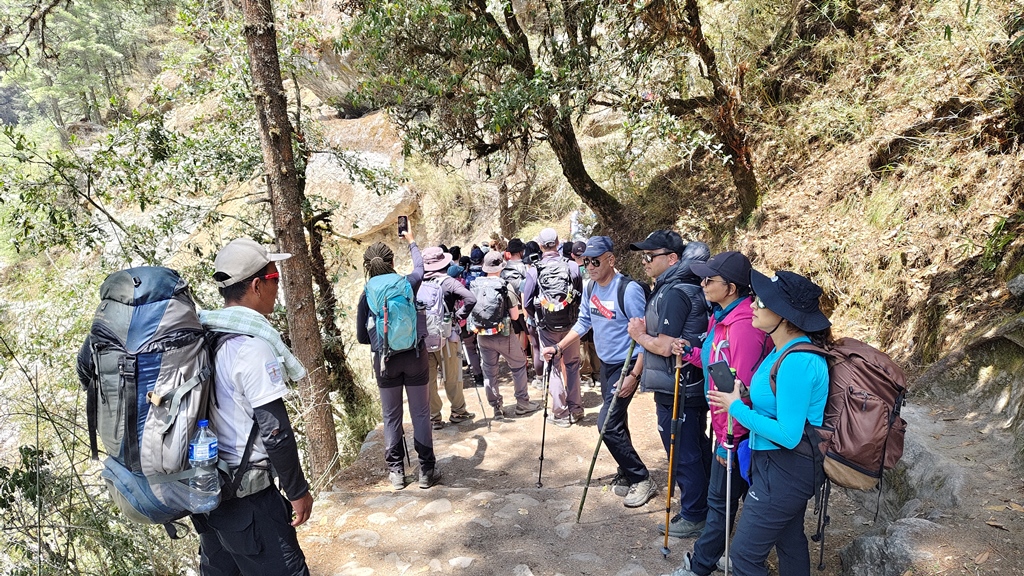 पर्यटकको आगमन