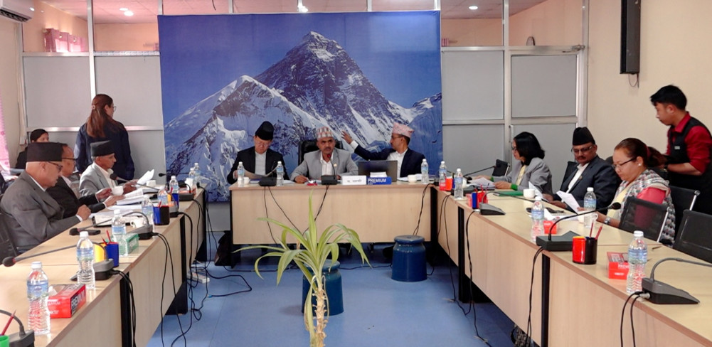 नीति तथा कार्यक्रममा समावेश गर्नुपर्ने विषयमा संसदीय समितिको सुझाव