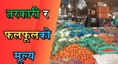 सागसब्जी र फलफूल