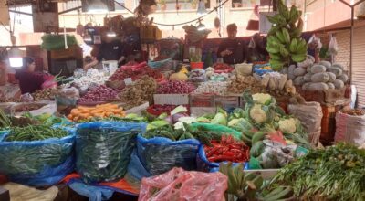 सागसब्जी र फलफूल