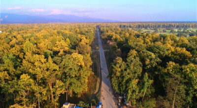 गड्डाचौकी–अत्तरिया सडकखण्ड