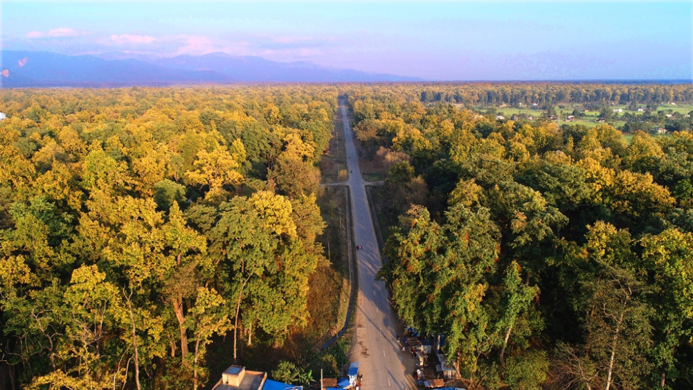 गड्डाचौकी–अत्तरिया सडकखण्ड