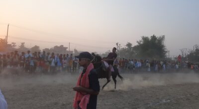 घोडा दौड