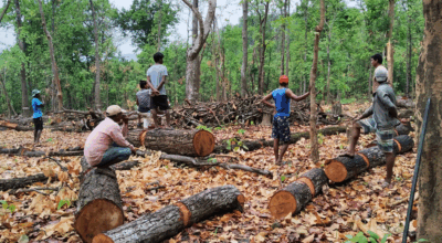 वन श्रमिकका समस्या
