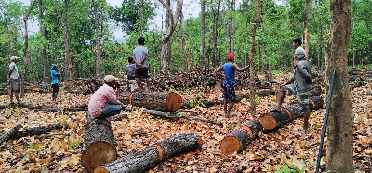 वन श्रमिकका समस्या