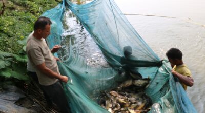 माछा बेचेर वार्षिक डेढ करोड आम्दानी