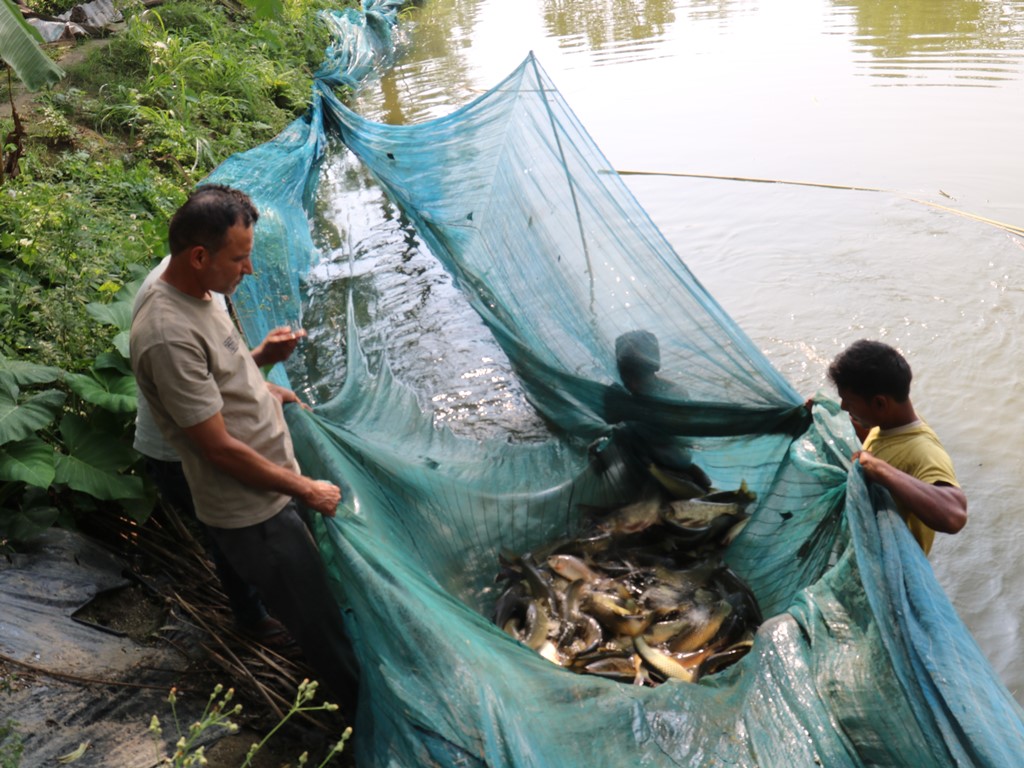 माछा बेचेर वार्षिक डेढ करोड आम्दानी