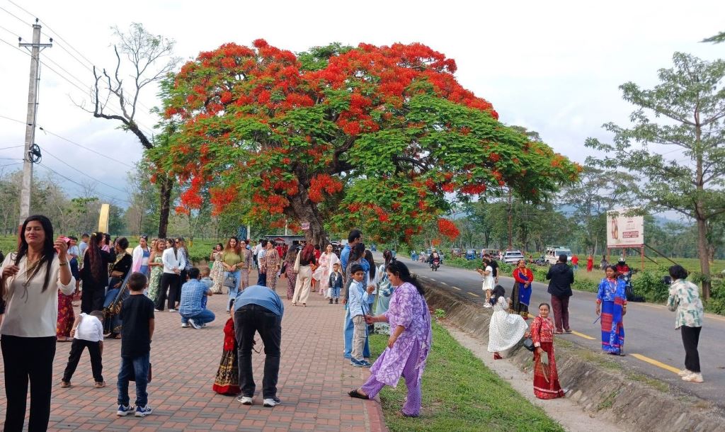 गुलमोहर