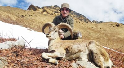 झारलको सिकार