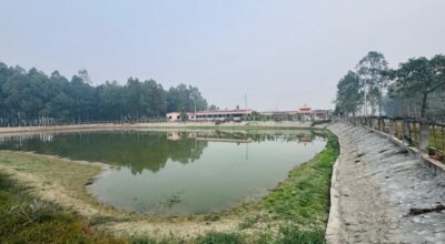 सहकारी खेती