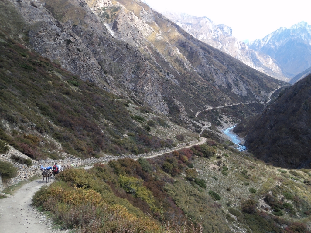 महाकाली करिडोर