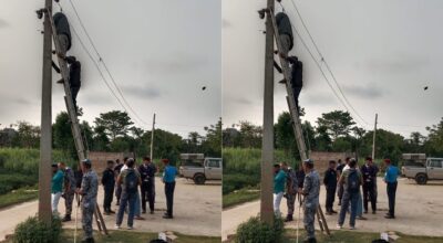 पर्सामा अवैध चोरी तस्करी रोक्न ‘सिसी क्यामेरा’ जडान