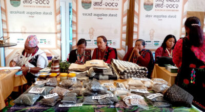 गाउँ पर्यटन मार्ट