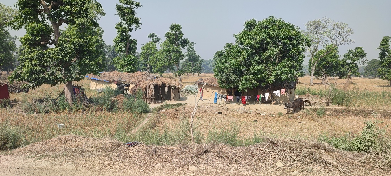 शुक्लाफाँटा राष्ट्रिय निकुञ्ज