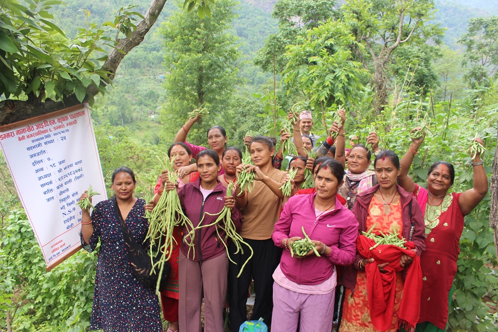 ‘आइपिएम’ कृषक पाठशाला’
