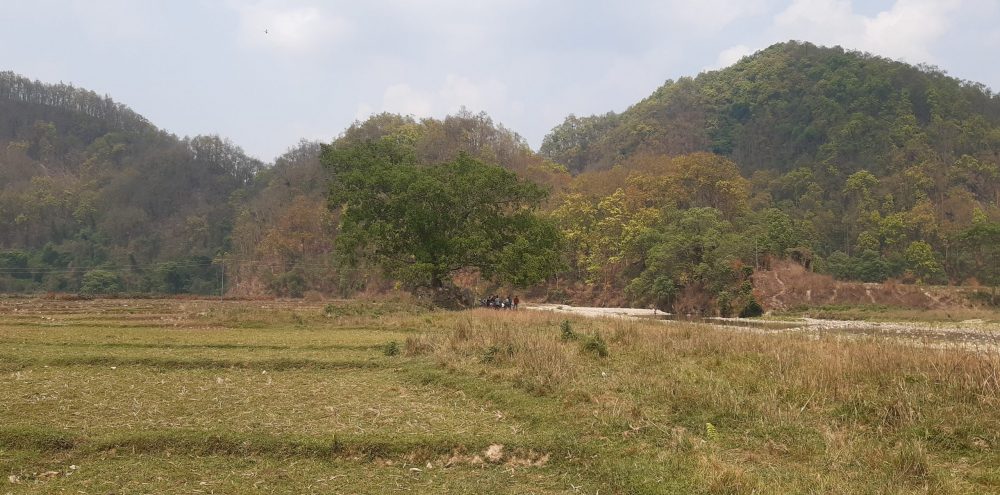 सुरौदी जलाधार