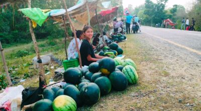 बगरमा तरबुजाखेती