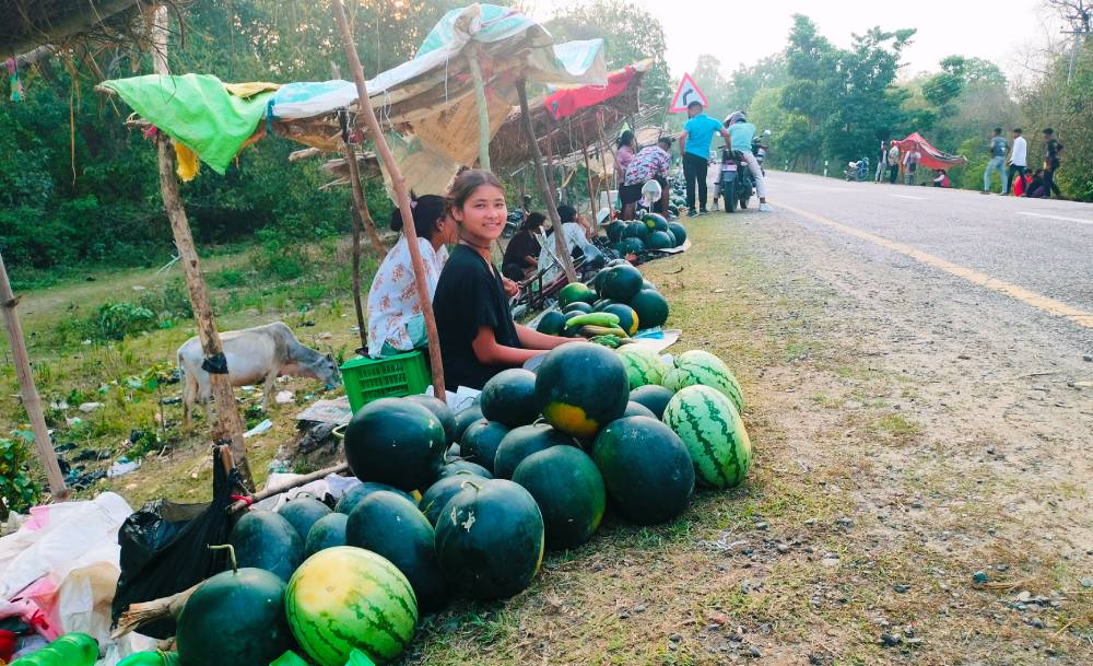 बगरमा तरबुजाखेती