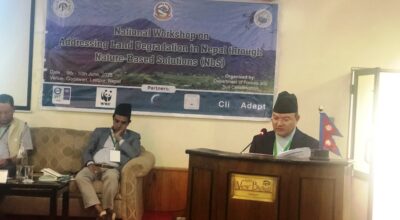 ऐनबहादुर शाही ठकुरी