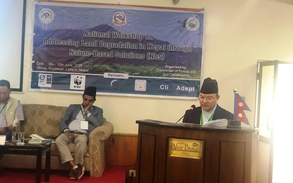 ऐनबहादुर शाही ठकुरी