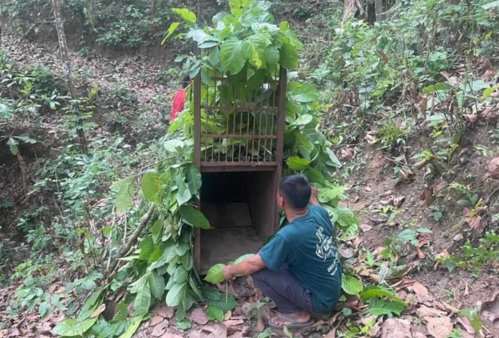 नरभक्षी चितुवा
