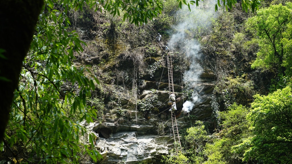 भिरमहको उत्पादन
