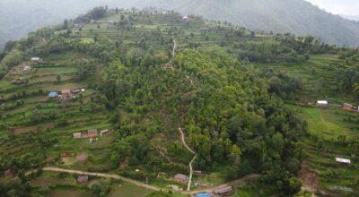 जाल्पादेवी गुराँस पदमार्ग