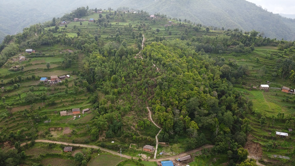 जाल्पादेवी गुराँस पदमार्ग