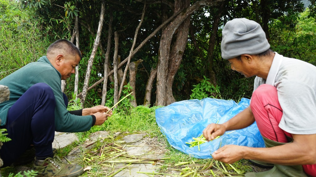 टुसा र ढकायो