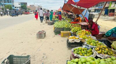 आँपको सुवास