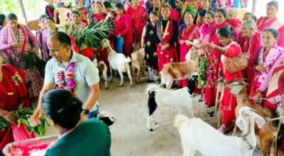 बाख्रा उपहार पाएपछि महिला खुसी