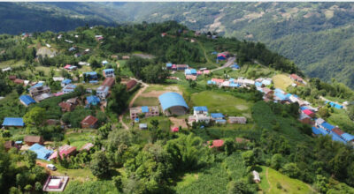 भोजपुरको दावा बजार