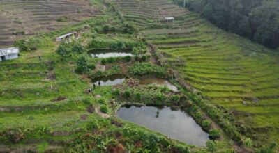 कमल तामाङ