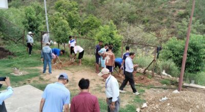 बुद्धचित्तको बिरुवा