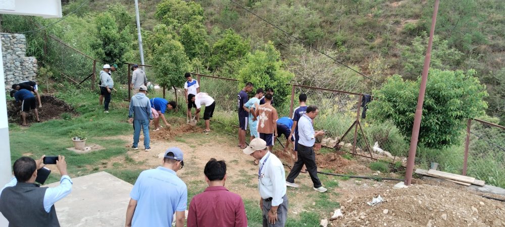 बुद्धचित्तको बिरुवा