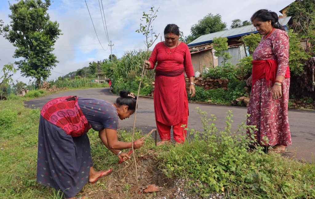 रामकोट सडकमा रुखसँगै उम्रिएको आशा