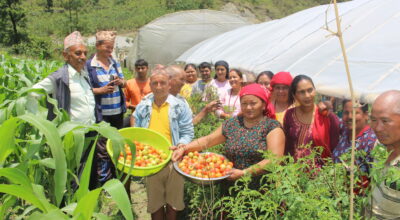 कृषक पाठशाला