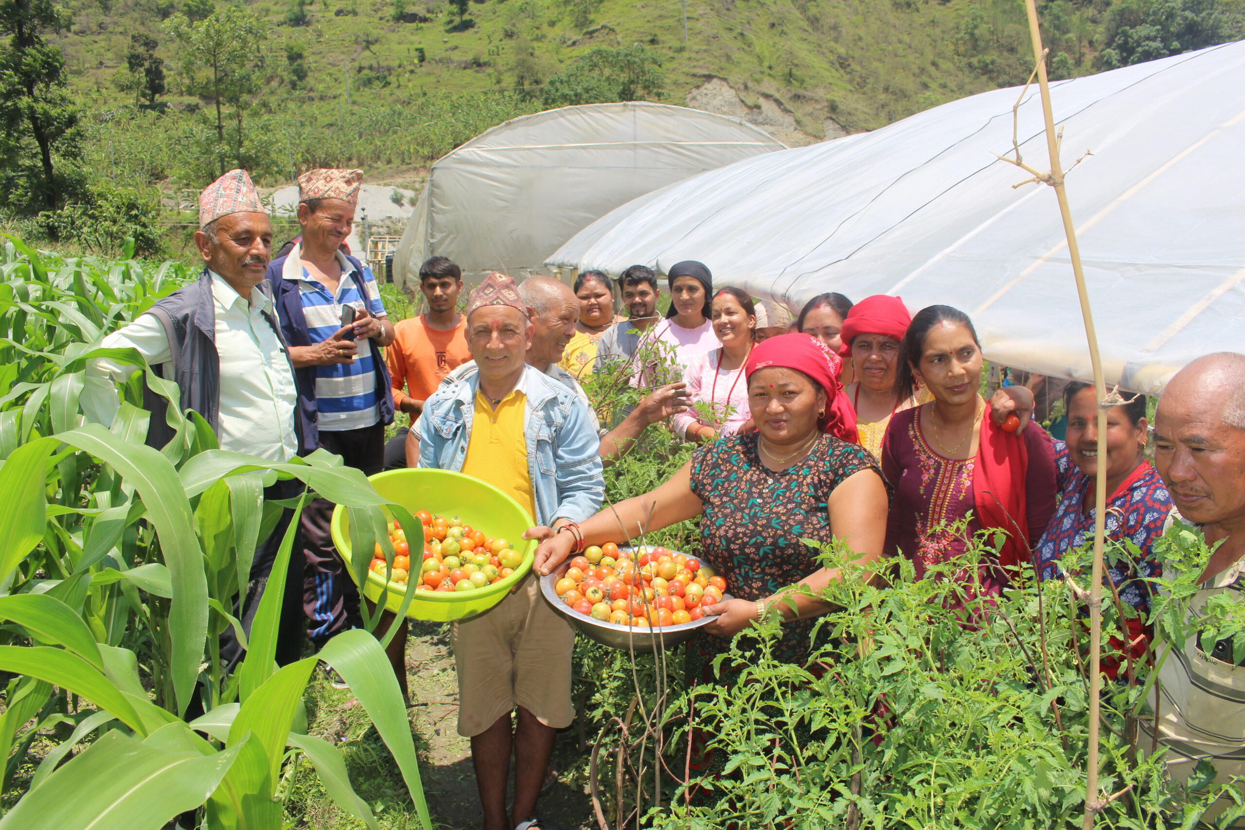 कृषक पाठशाला
