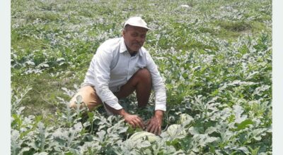 बढीका तरबुजा