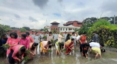 असार १५ : राष्ट्रपति पौडेल रोपाइँमा सहभागी