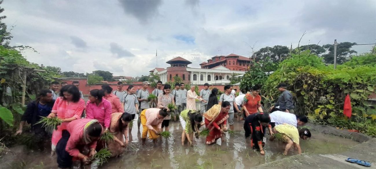 असार १५ : राष्ट्रपति पौडेल रोपाइँमा सहभागी