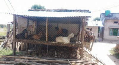 सुरक्षित खोर