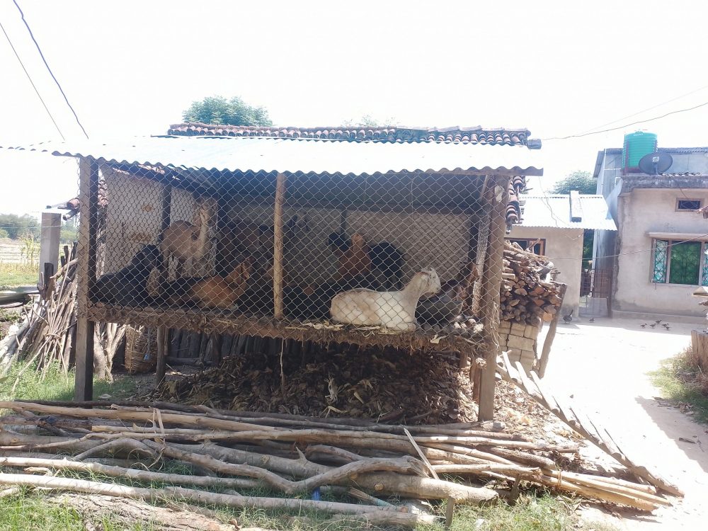 सुरक्षित खोर