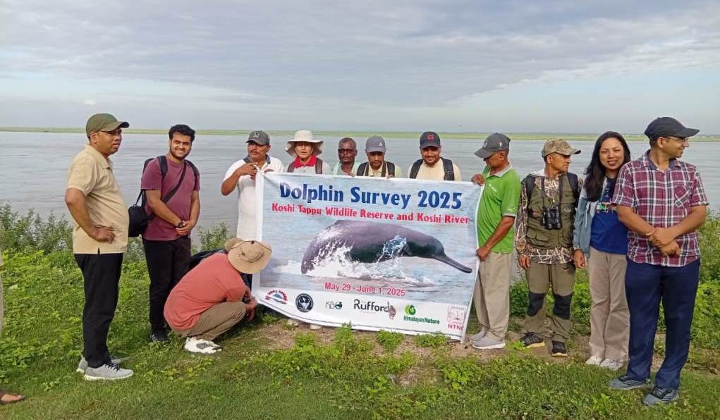 सप्तकोशी नदीमा डल्फिन गणना सुरु