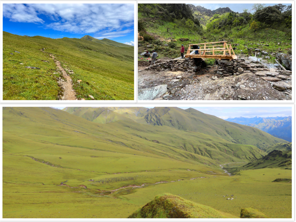 बुकीपाटन