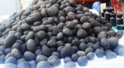 फुटकी च्याउ