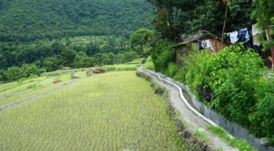 बाउन्न हेक्टरमा सिँचाइ सुविधा विस्तार